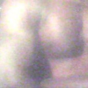 Meet your Posher, Albert